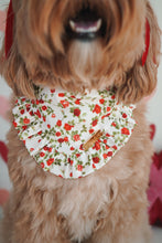 Load image into Gallery viewer, "Rose Garden" Bandana