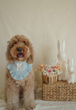Load image into Gallery viewer, "Sky" Varsity Bandana