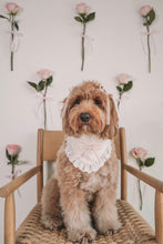 Load image into Gallery viewer, "Camille" Bandana