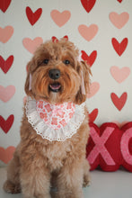 Load image into Gallery viewer, "Beary Sweet" Bandana