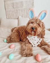 Load image into Gallery viewer, "Boho Bunny" Bandana