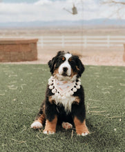 Load image into Gallery viewer, "Boho Bunny" Bandana