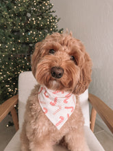 Load image into Gallery viewer, "Candy Cane Lane" Bandana