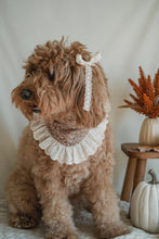 Load image into Gallery viewer, "Autumn Bloom" Bandana