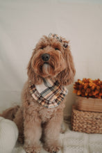 Load image into Gallery viewer, "Brown Sugar" Bandana