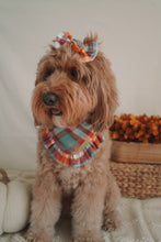 Load image into Gallery viewer, "Harvest" Bandana