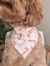 Load image into Gallery viewer, "Candy Cane Lane" Bandana