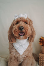 Load image into Gallery viewer, "Cozy Boucle" Bandana