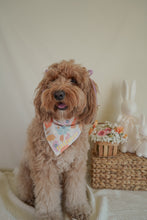 Load image into Gallery viewer, "Spring Bloom" Bandana