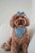 Load image into Gallery viewer, "Periwinkle" Embroidered Bandana