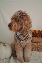 Load image into Gallery viewer, "Brown Sugar" Bandana