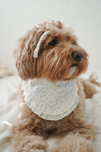 Load image into Gallery viewer, "Eloise" Bandana