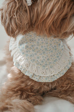 Load image into Gallery viewer, "Eloise" Bandana