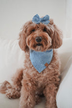 Load image into Gallery viewer, "Periwinkle" Embroidered Bandana