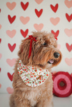Load image into Gallery viewer, "Rose Garden" Bandana