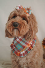 Load image into Gallery viewer, "Harvest" Bandana