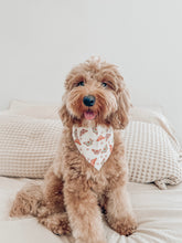 Load image into Gallery viewer, "Starry Monarch" Bandana