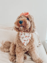 Load image into Gallery viewer, "Starry Monarch" Bandana