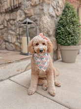 Load image into Gallery viewer, "Over the Rainbow" Bandana