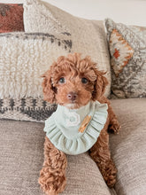 Load image into Gallery viewer, “Mint To Be” Varsity Bandana