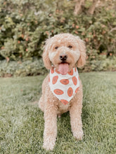 Load image into Gallery viewer, "Game Day" Bandana