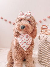 Load image into Gallery viewer, "Love is Love" Bandana