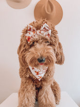Load image into Gallery viewer, "Fall Foliage" Bandana