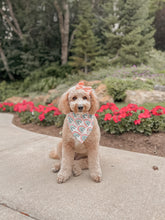 Load image into Gallery viewer, "Over the Rainbow" Bandana
