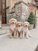 Load image into Gallery viewer, "Beach Day" Bandana