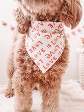 Load image into Gallery viewer, "Love is Love" Bandana