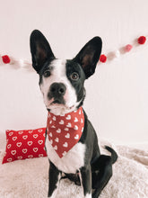 Load image into Gallery viewer, "Valentine" Bandana