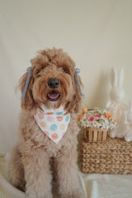 Load image into Gallery viewer, &quot;Happy Spring&quot; Bandana
