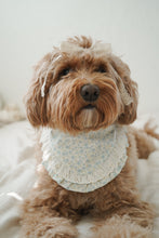 Load image into Gallery viewer, "Eloise" Bandana
