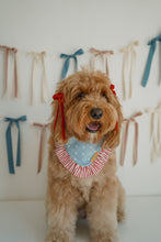 Load image into Gallery viewer, &quot;Stars and Stripes&quot; Bandana
