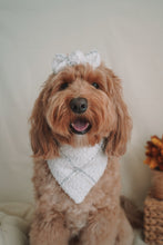 Load image into Gallery viewer, &quot;Cozy Boucle&quot; Bandana
