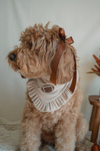 Load image into Gallery viewer, &quot;Game Time&quot; Bandana
