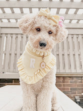 Load image into Gallery viewer, &quot;Daffodil&quot; Varsity Bandana
