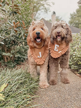 Load image into Gallery viewer, &quot;Fall Varsity&quot; Bandana
