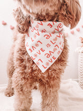 Load image into Gallery viewer, &quot;Love is Love&quot; Bandana

